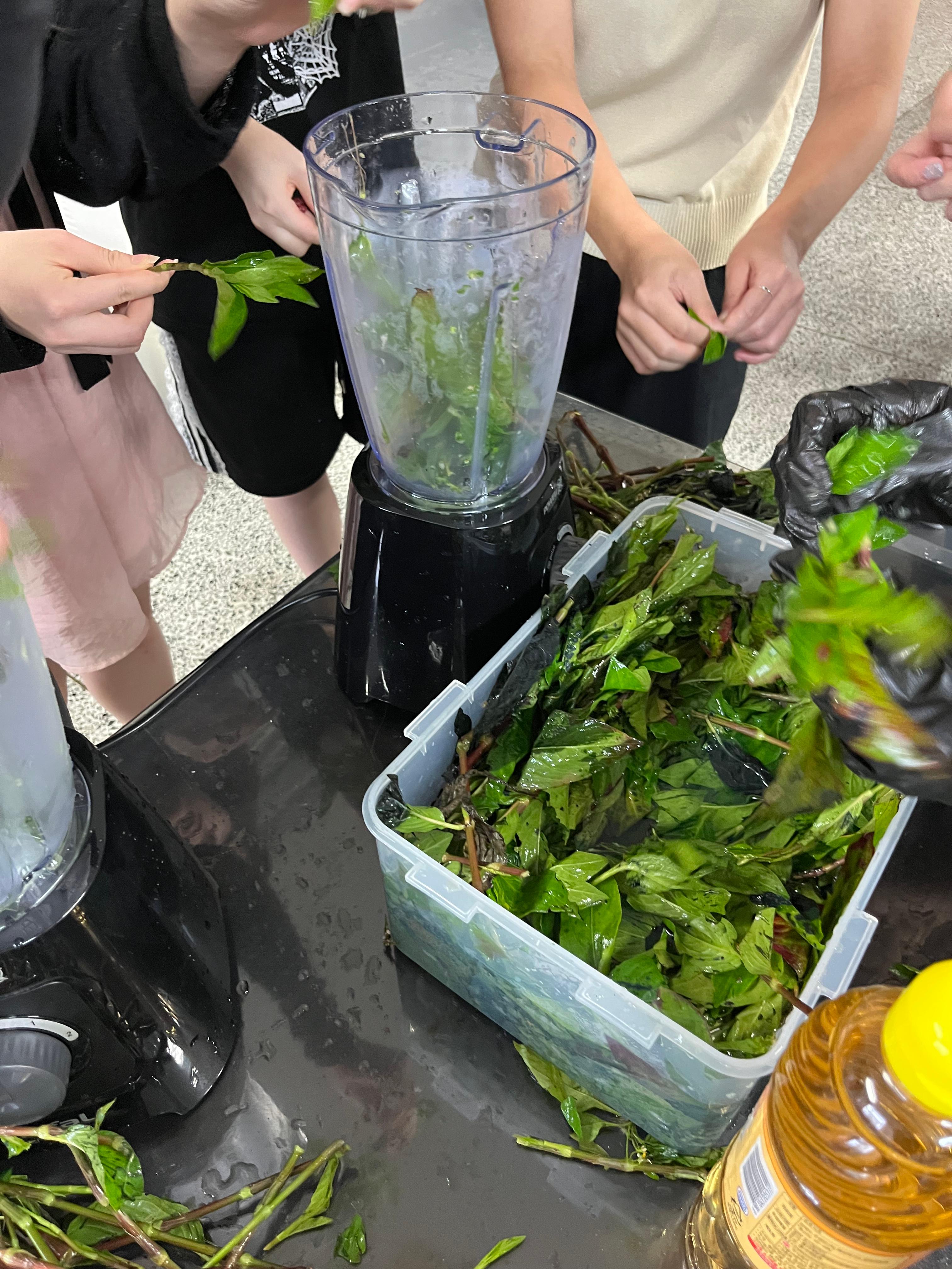 염색특강3.jpg 첨부 이미지