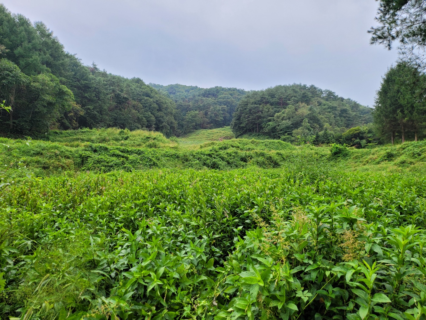 현장학습3.jpg 첨부 이미지